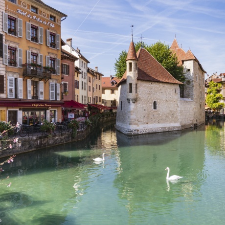 Guided tour of Annecy